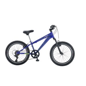 LION 20 V
